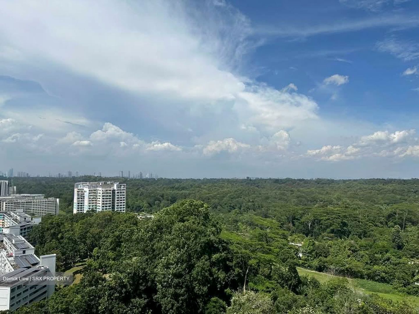 Eco Sanctuary (D23), Condominium #556966301